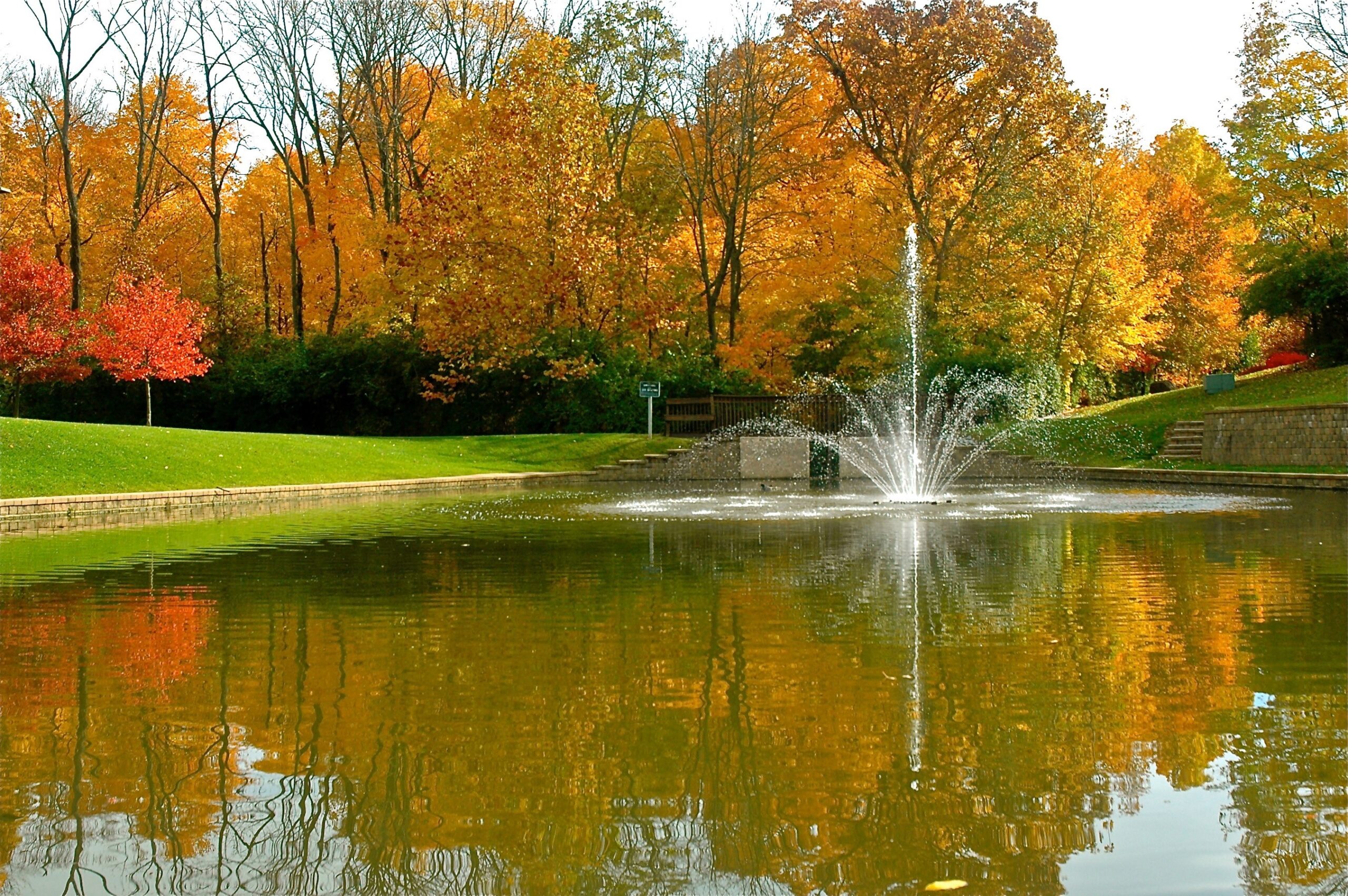 View of Woods Pond in fall